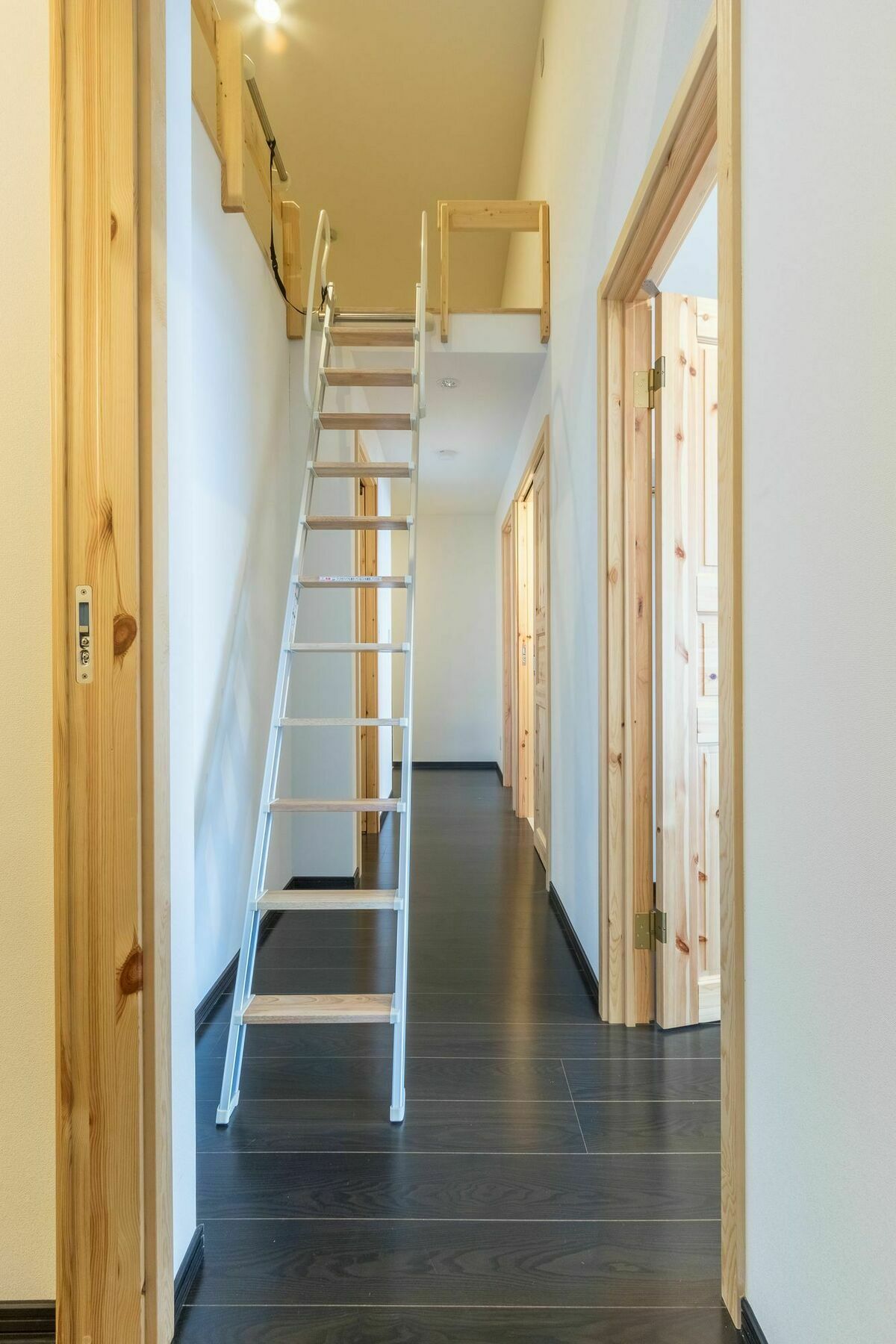 莫里山林小屋公寓 比罗夫 外观 照片